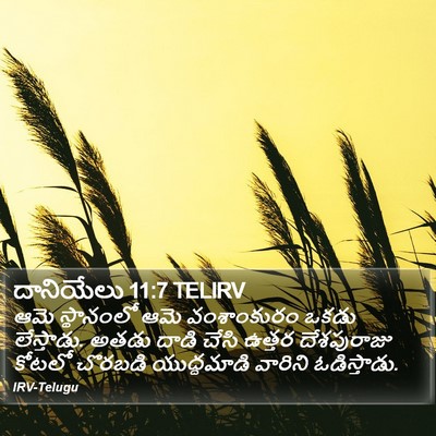 దానియేలు 11:7 TELIRV Bible Verse Image