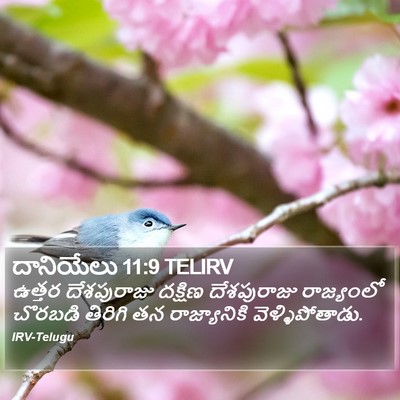 దానియేలు 11:9 TELIRV Bible Verse Image