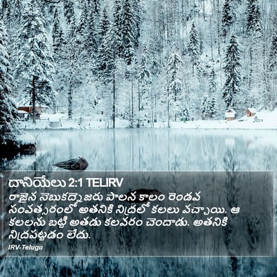 దానియేలు 2:1 TELIRV Bible Verse Image