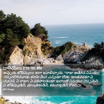 దానియేలు 2:10 TELIRV Bible Verse Image