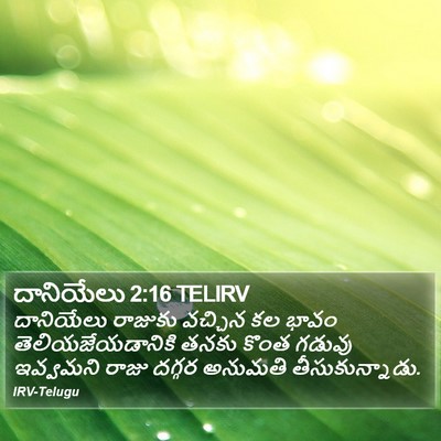 దానియేలు 2:16 TELIRV Bible Verse Image