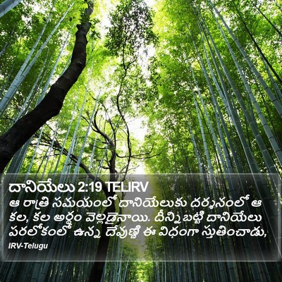 దానియేలు 2:19 TELIRV Bible Verse Image