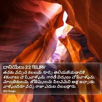 దానియేలు 2:2 TELIRV Bible Verse Image