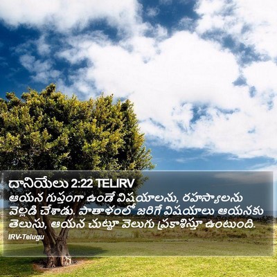 దానియేలు 2:22 TELIRV Bible Verse Image