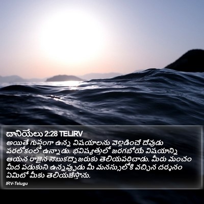 దానియేలు 2:28 TELIRV Bible Verse Image