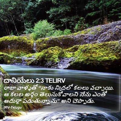 దానియేలు 2:3 TELIRV Bible Verse Image