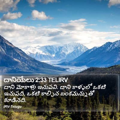 దానియేలు 2:33 TELIRV Bible Verse Image