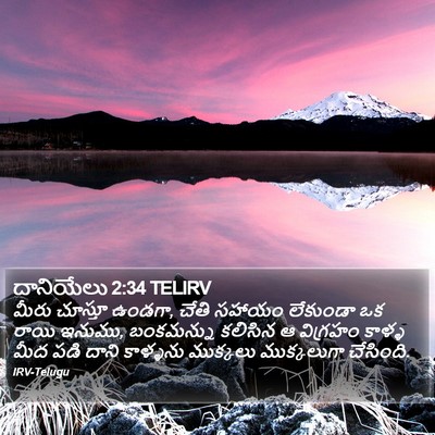 దానియేలు 2:34 TELIRV Bible Verse Image
