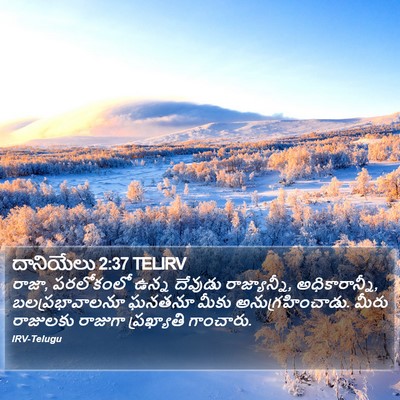 దానియేలు 2:37 TELIRV Bible Verse Image