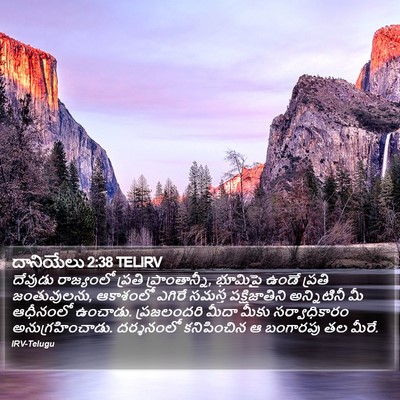 దానియేలు 2:38 TELIRV Bible Verse Image