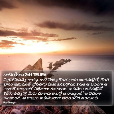 దానియేలు 2:41 TELIRV Bible Verse Image