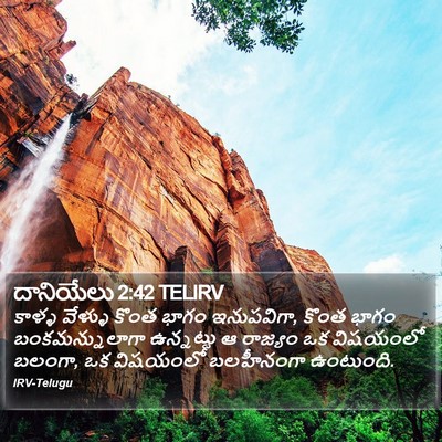 దానియేలు 2:42 TELIRV Bible Verse Image