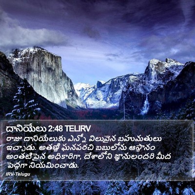 దానియేలు 2:48 TELIRV Bible Verse Image