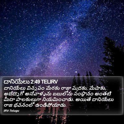 దానియేలు 2:49 TELIRV Bible Verse Image