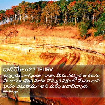 దానియేలు 2:7 TELIRV Bible Verse Image