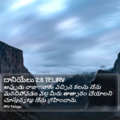 దానియేలు 2:8 TELIRV Bible Verse Image