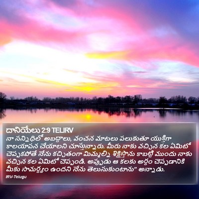 దానియేలు 2:9 TELIRV Bible Verse Image