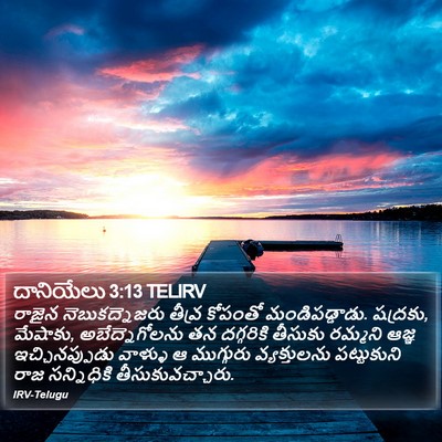 దానియేలు 3:13 TELIRV Bible Verse Image