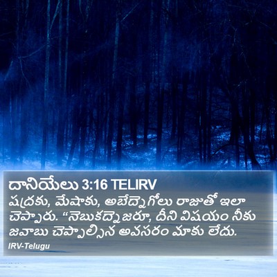 దానియేలు 3:16 TELIRV Bible Verse Image