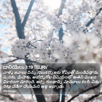 దానియేలు 3:19 TELIRV Bible Verse Image