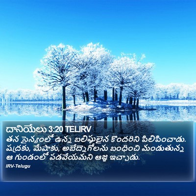 దానియేలు 3:20 TELIRV Bible Verse Image