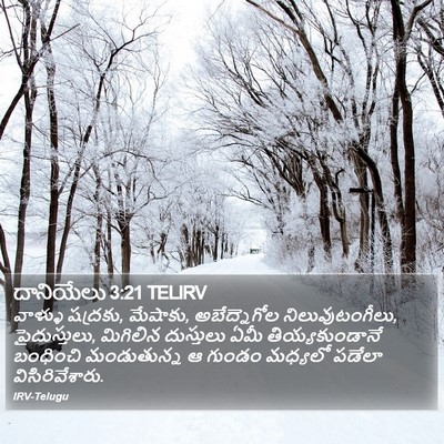 దానియేలు 3:21 TELIRV Bible Verse Image