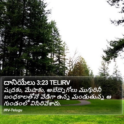 దానియేలు 3:23 TELIRV Bible Verse Image