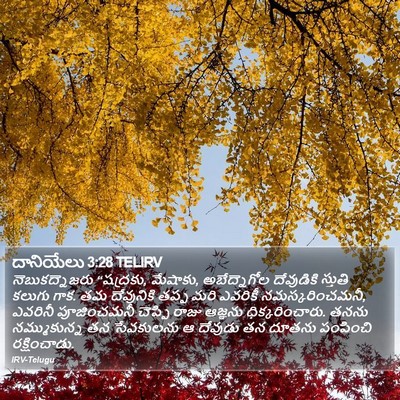 దానియేలు 3:28 TELIRV Bible Verse Image