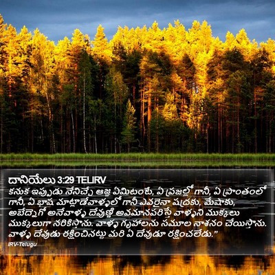 దానియేలు 3:29 TELIRV Bible Verse Image