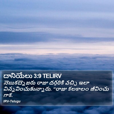 దానియేలు 3:9 TELIRV Bible Verse Image