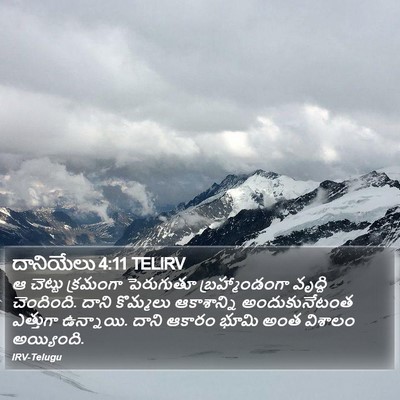 దానియేలు 4:11 TELIRV Bible Verse Image