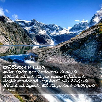 దానియేలు 4:14 TELIRV Bible Verse Image