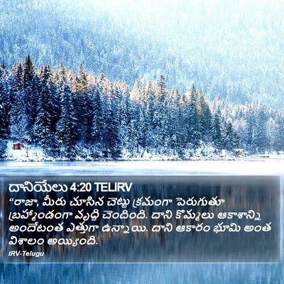 దానియేలు 4:20 TELIRV Bible Verse Image