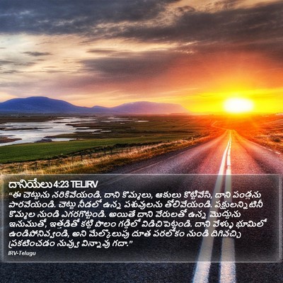 దానియేలు 4:23 TELIRV Bible Verse Image