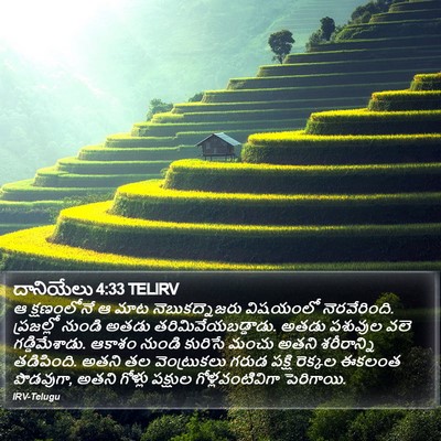 దానియేలు 4:33 TELIRV Bible Verse Image