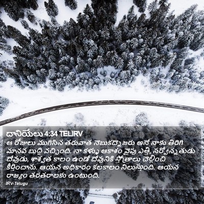 దానియేలు 4:34 TELIRV Bible Verse Image
