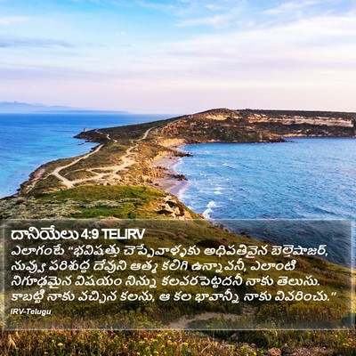 దానియేలు 4:9 TELIRV Bible Verse Image