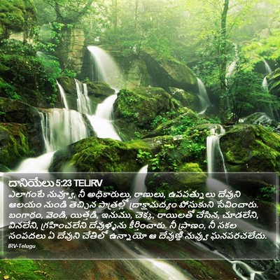 దానియేలు 5:23 TELIRV Bible Verse Image