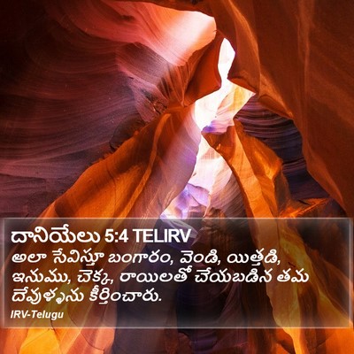 దానియేలు 5:4 TELIRV Bible Verse Image
