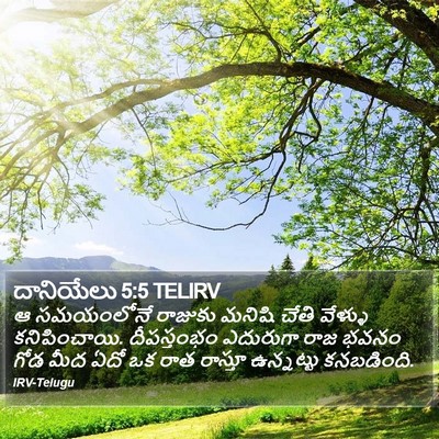 దానియేలు 5:5 TELIRV Bible Verse Image