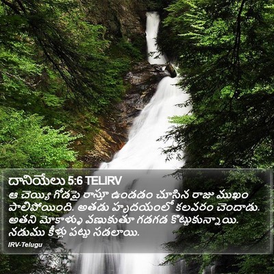దానియేలు 5:6 TELIRV Bible Verse Image