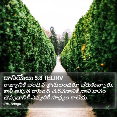 దానియేలు 5:8 TELIRV Bible Verse Image