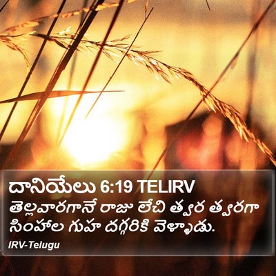 దానియేలు 6:19 TELIRV Bible Verse Image