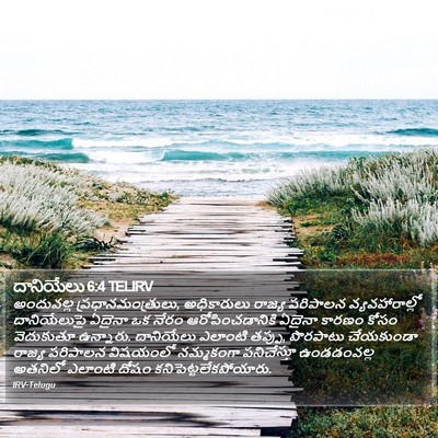 దానియేలు 6:4 TELIRV Bible Verse Image