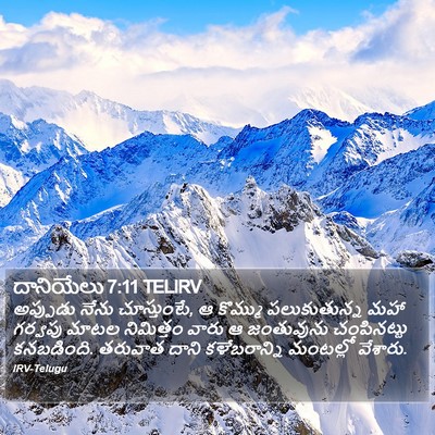 దానియేలు 7:11 TELIRV Bible Verse Image