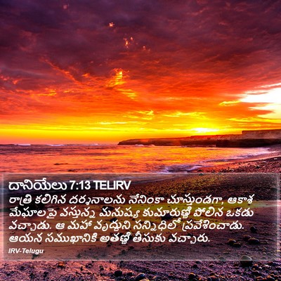 దానియేలు 7:13 TELIRV Bible Verse Image