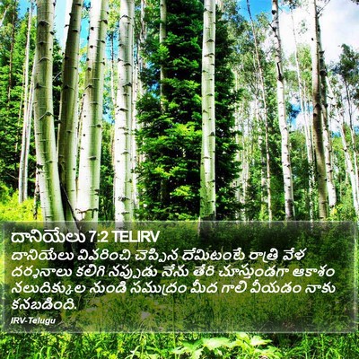 దానియేలు 7:2 TELIRV Bible Verse Image
