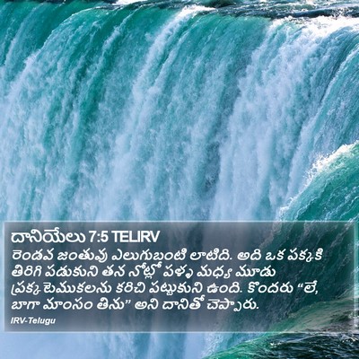 దానియేలు 7:5 TELIRV Bible Verse Image