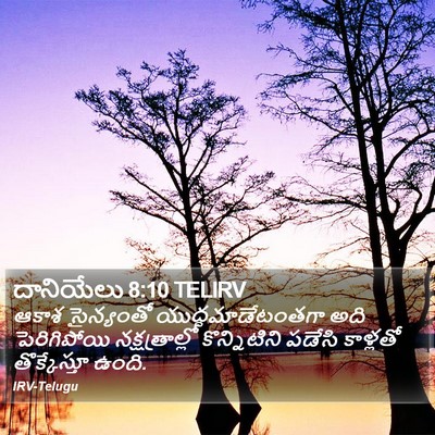 దానియేలు 8:10 TELIRV Bible Verse Image