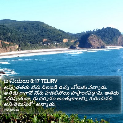 దానియేలు 8:17 TELIRV Bible Verse Image